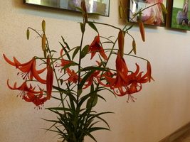 Foto: Dr. Peter Müller